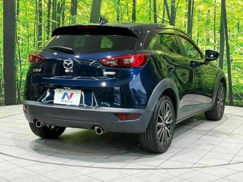 CX-3-17