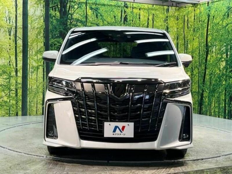 ALPHARD-15