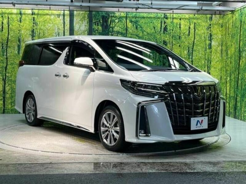 ALPHARD-17