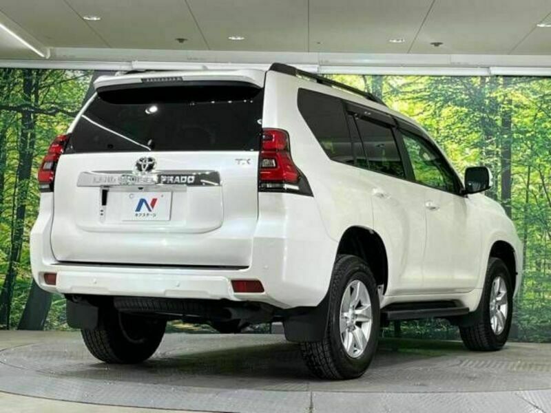 LAND CRUISER PRADO-18