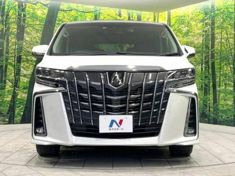 ALPHARD-14