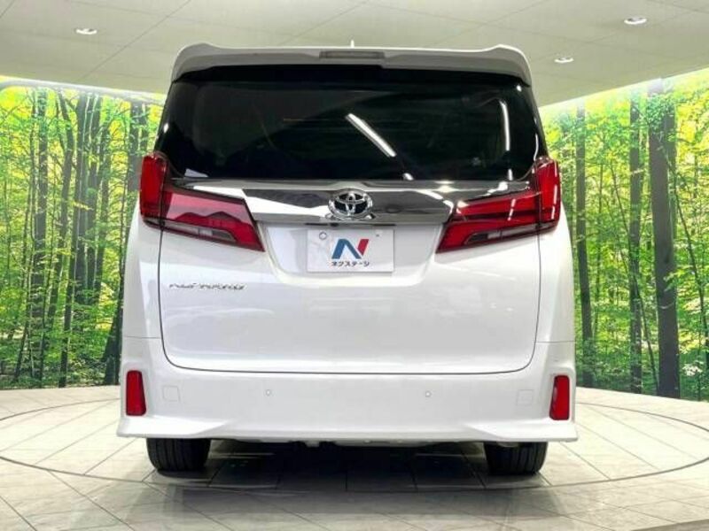 ALPHARD-15