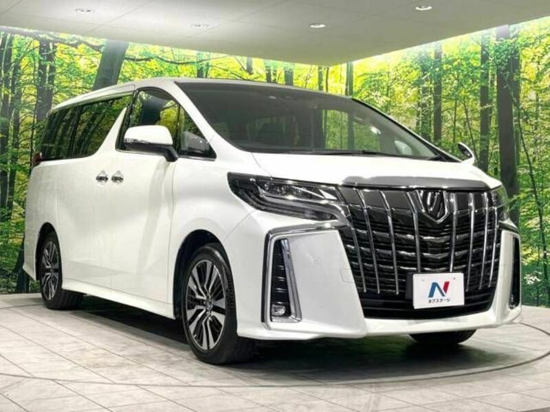 ALPHARD-16