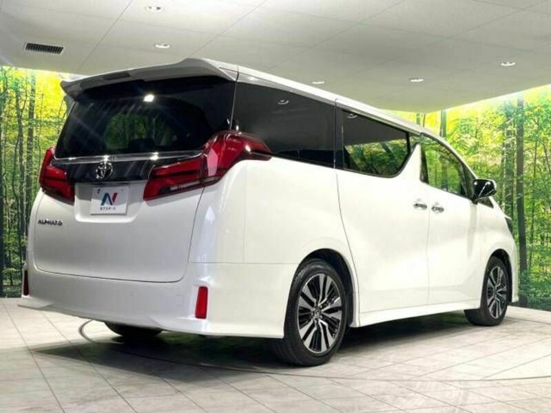 ALPHARD-17