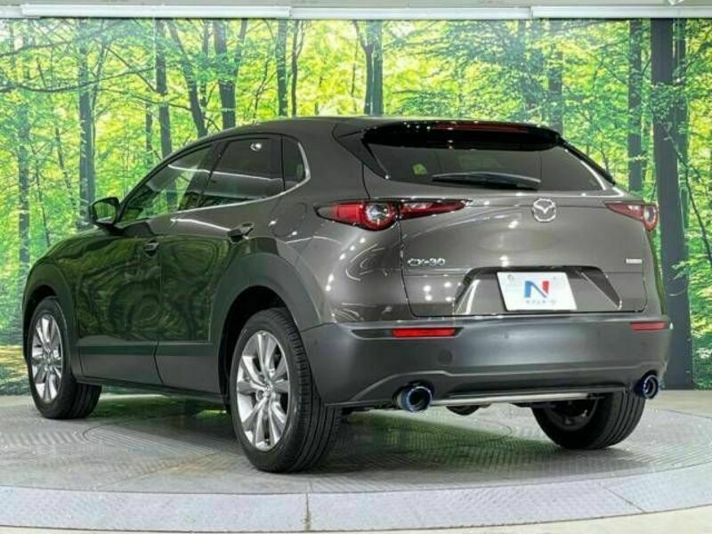 CX-30-16