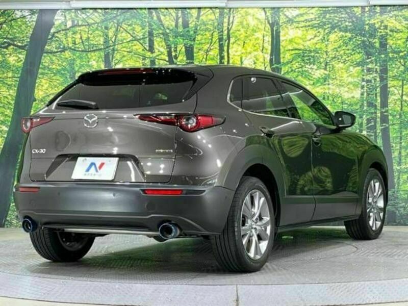 CX-30-17