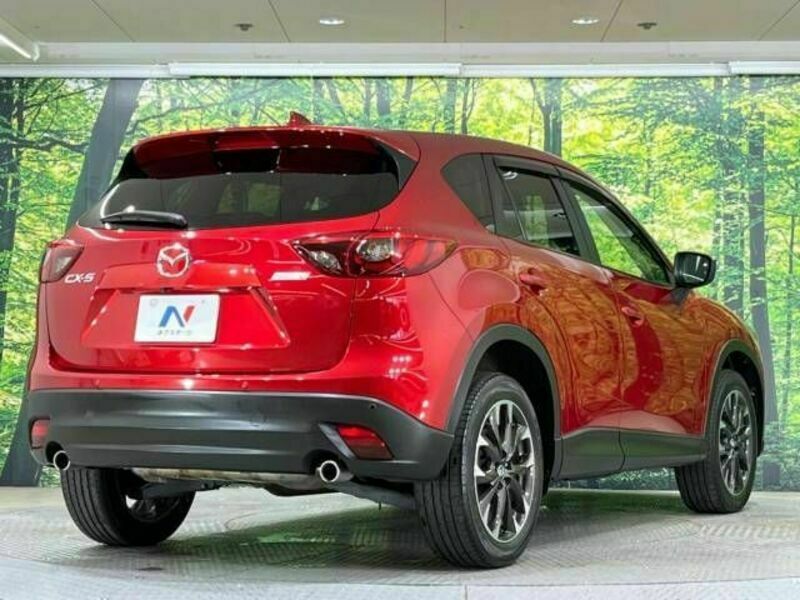 CX-5-17