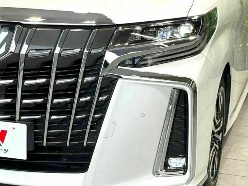 ALPHARD-12