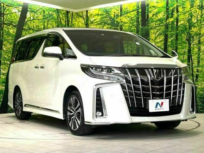 ALPHARD-16