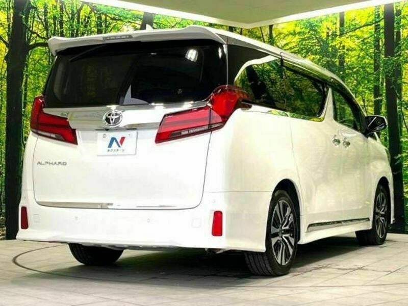 ALPHARD-17