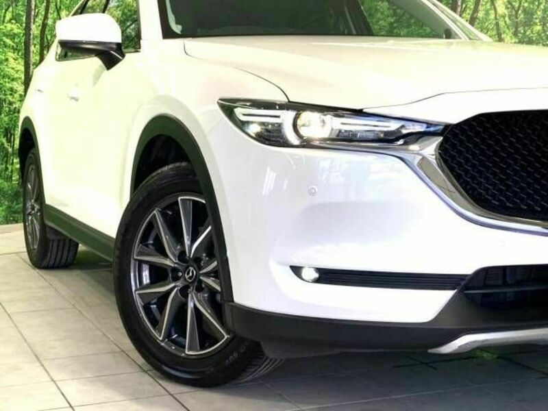 CX-5-11