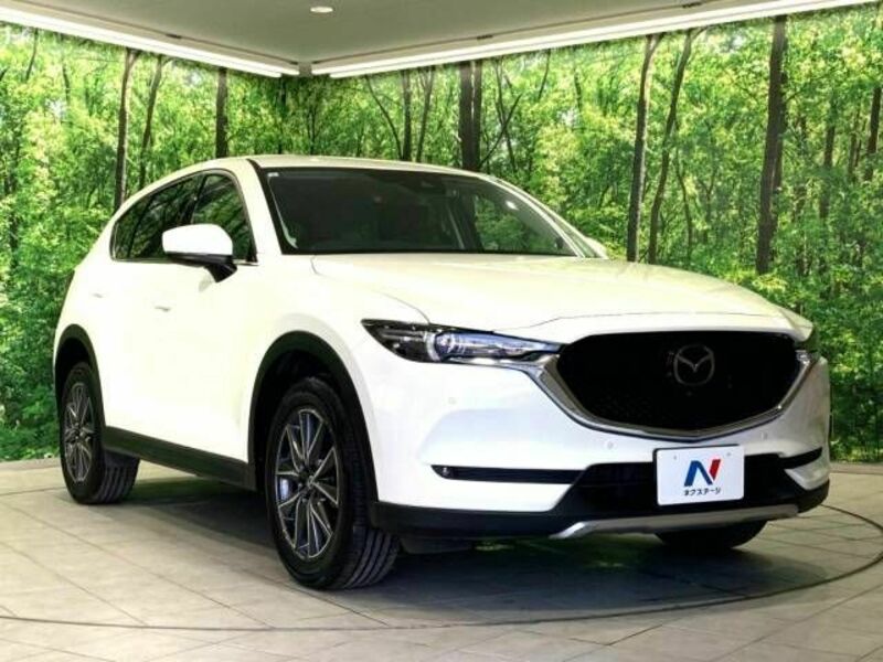 CX-5-17