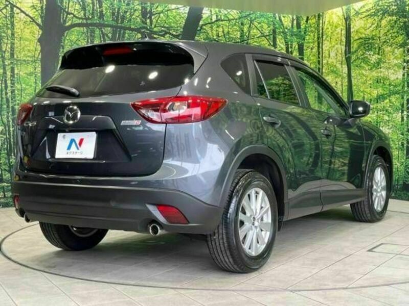 CX-5-17