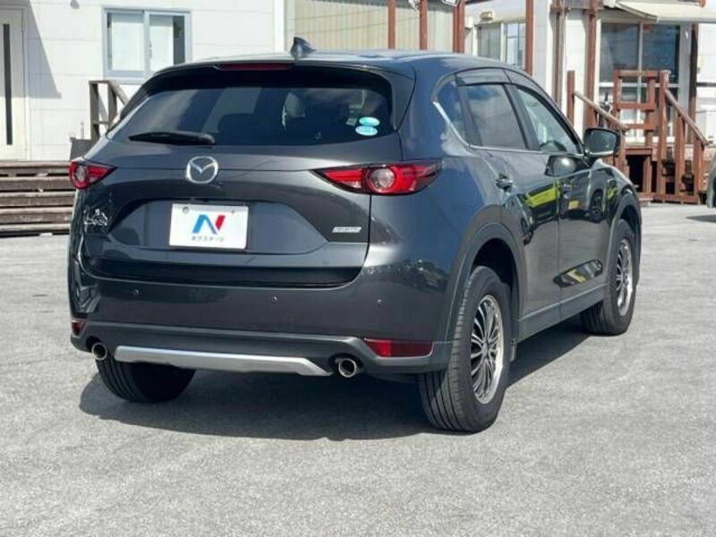 CX-5-19