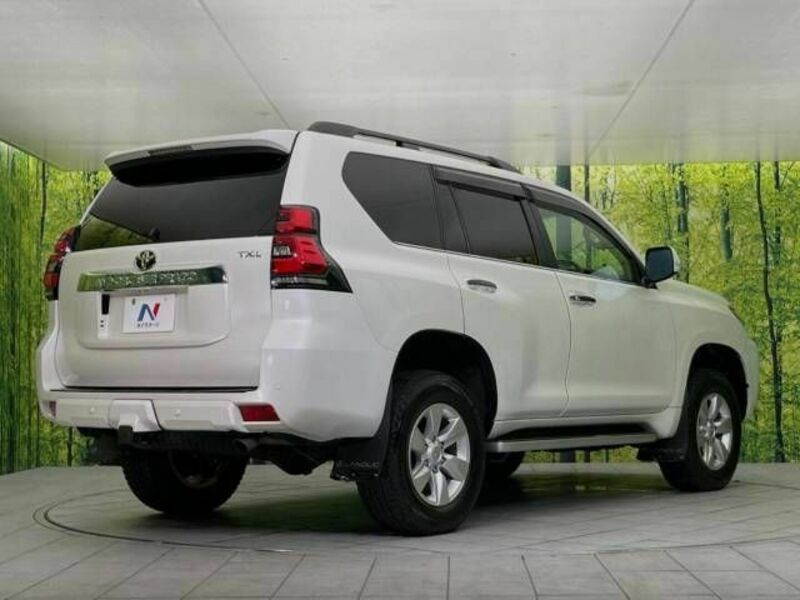 LAND CRUISER PRADO-17