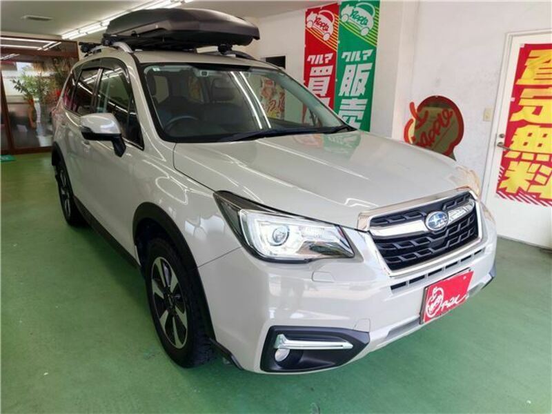 FORESTER-1