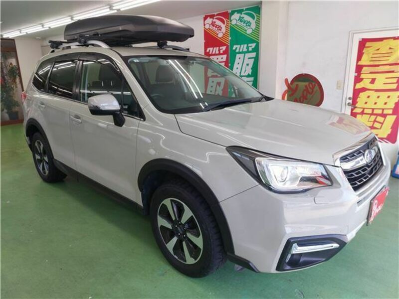 FORESTER-8