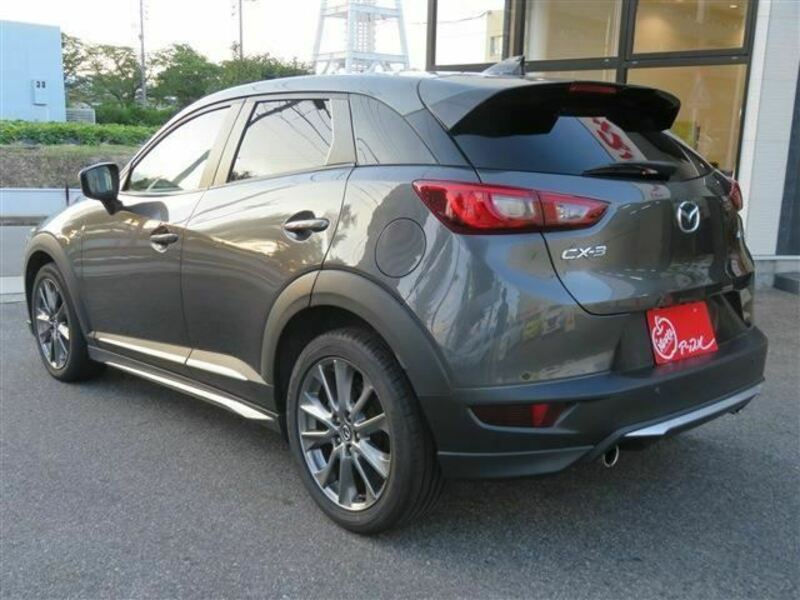 CX-3-1