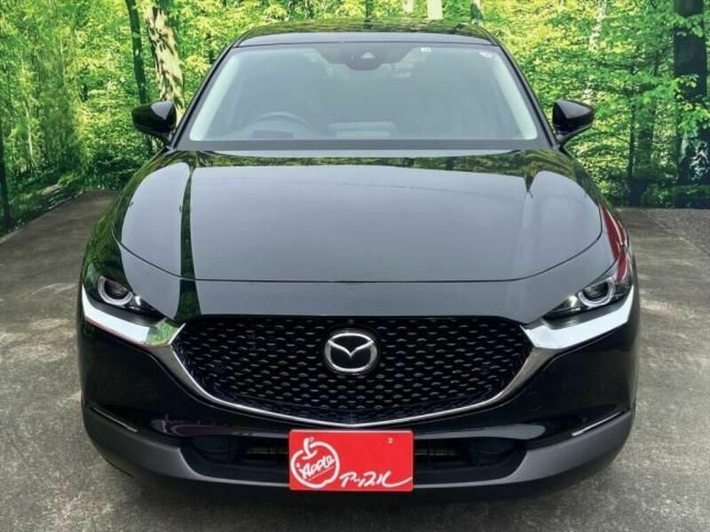 CX-30-1