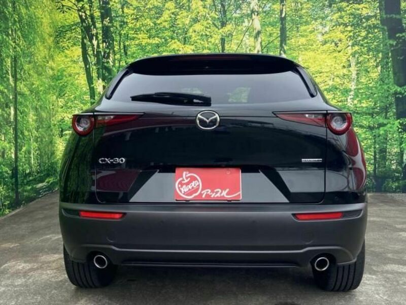 CX-30-2