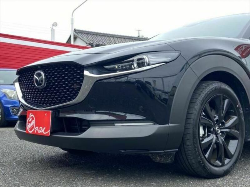 CX-30-10