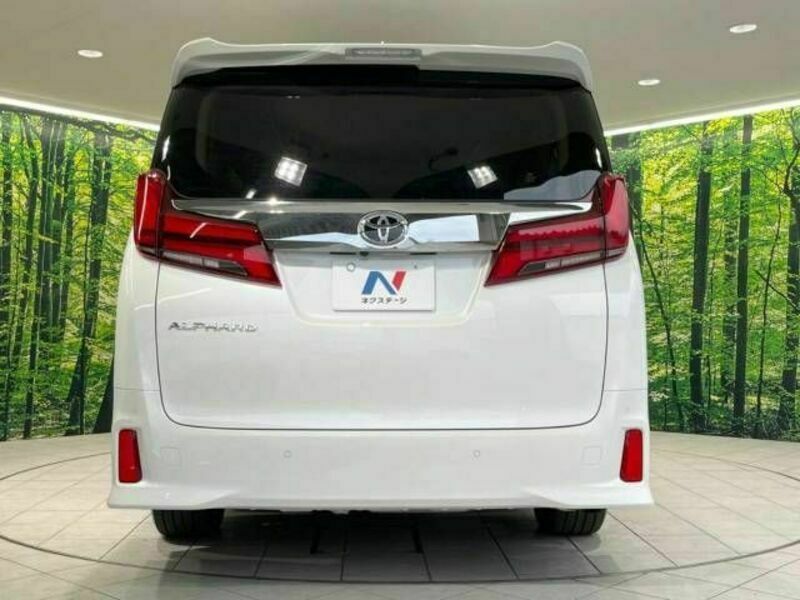 ALPHARD-16