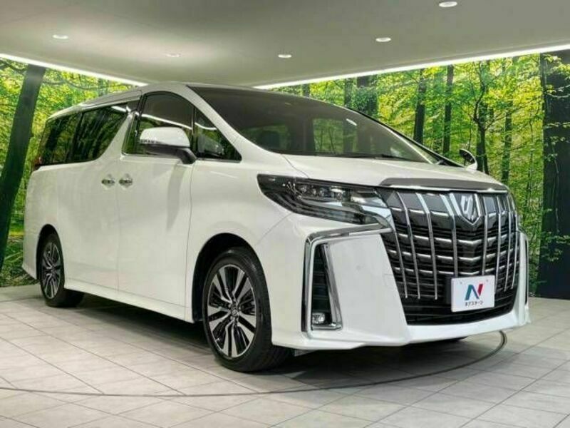 ALPHARD-17