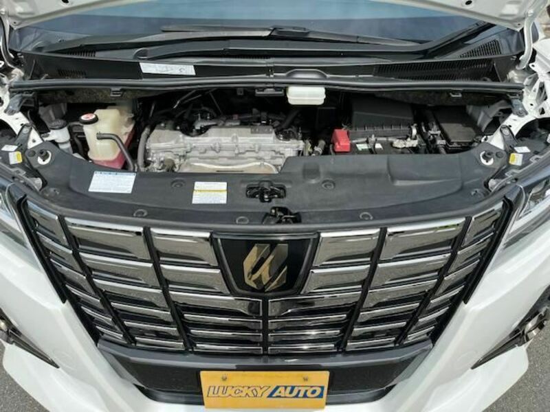 ALPHARD-20