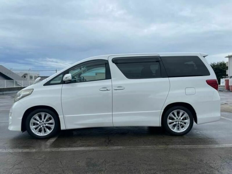 ALPHARD-7