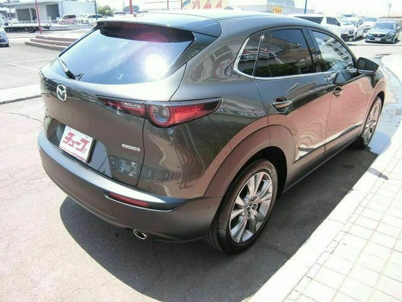 CX-30-2