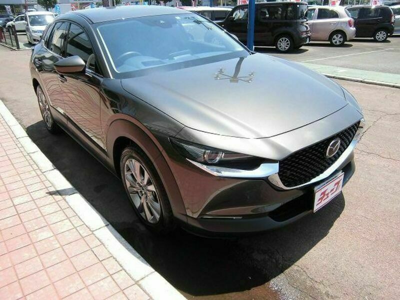 CX-30-6