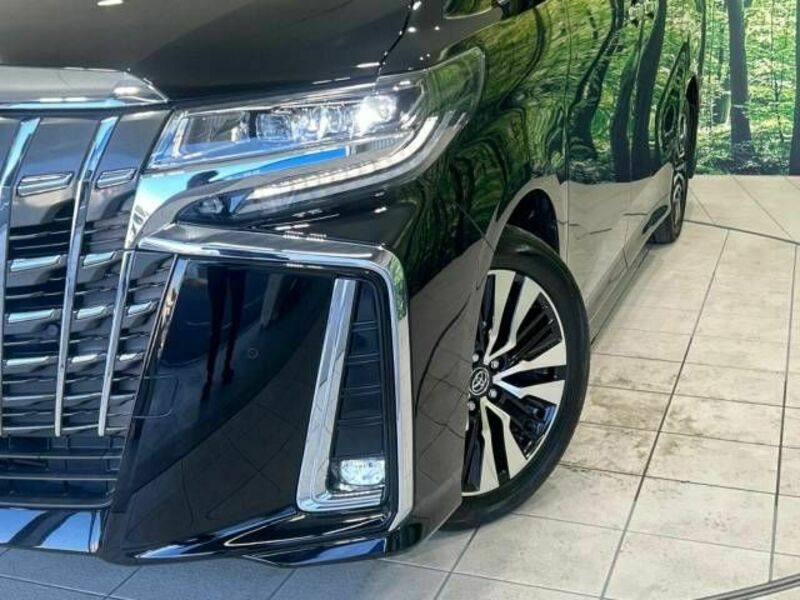 ALPHARD-12