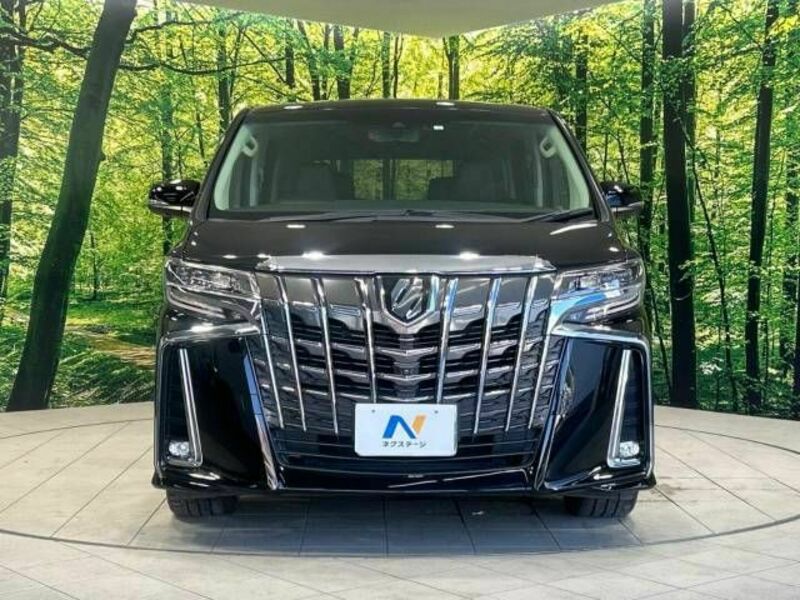 ALPHARD-16