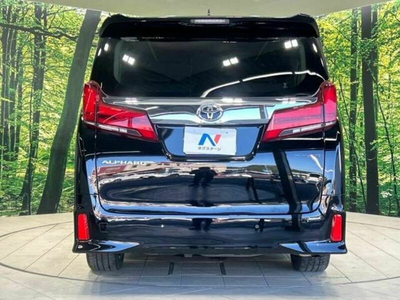 ALPHARD-17