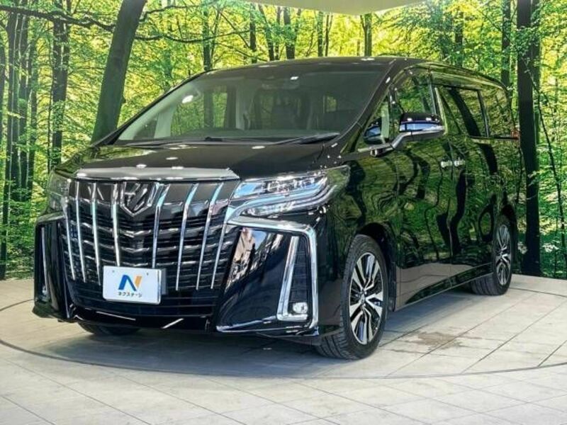 ALPHARD-18