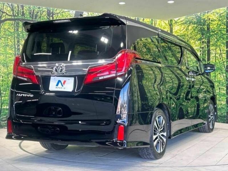 ALPHARD-19