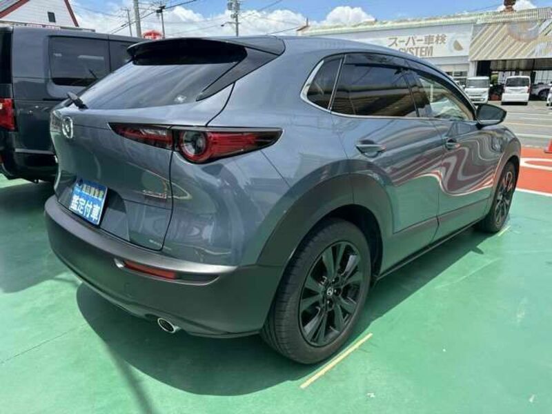 CX-30-11