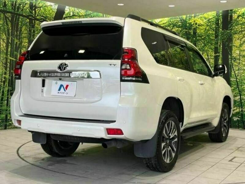 LAND CRUISER PRADO-17