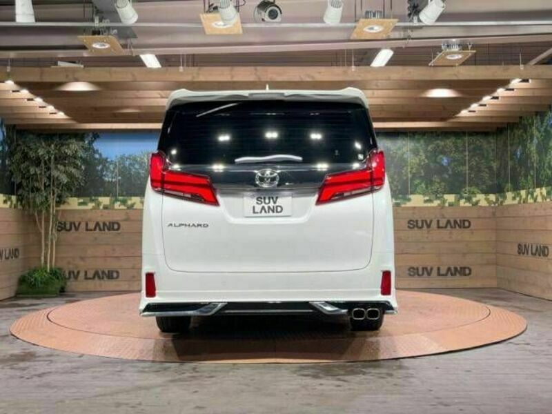 ALPHARD-19