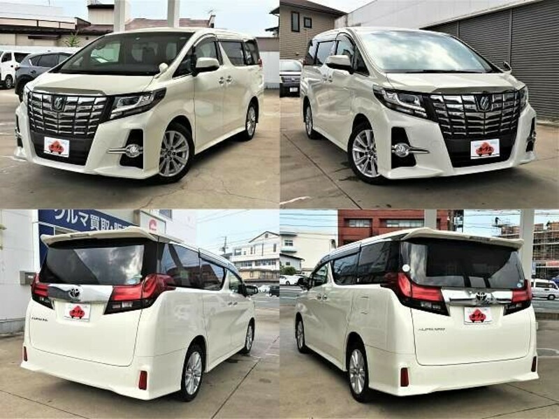 ALPHARD-7