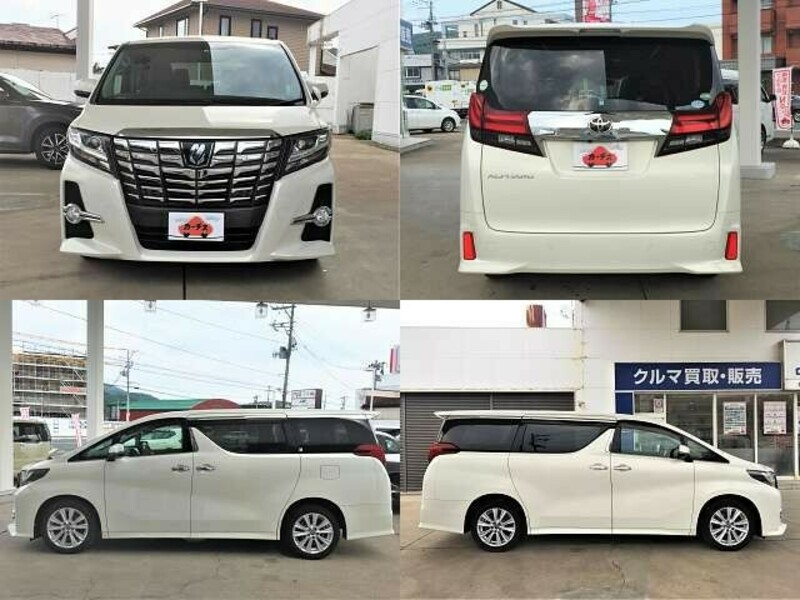 ALPHARD-8