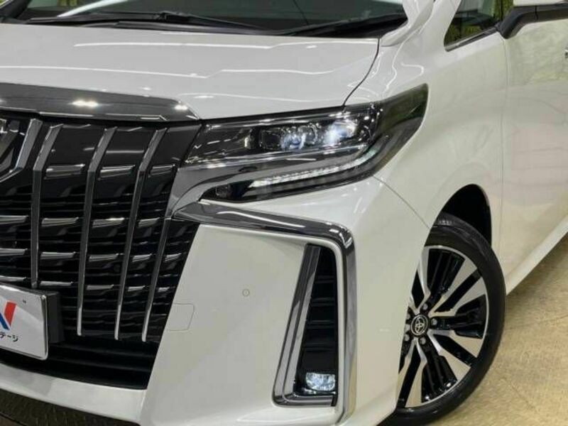 ALPHARD-13