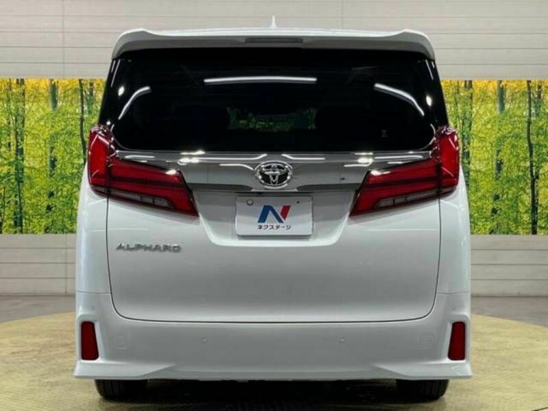 ALPHARD-16