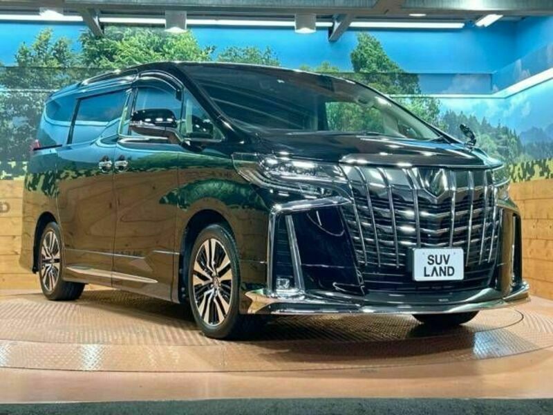 ALPHARD-16