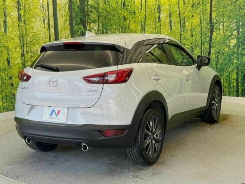 CX-3-17