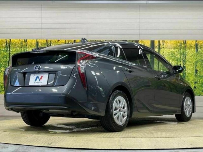 PRIUS-17