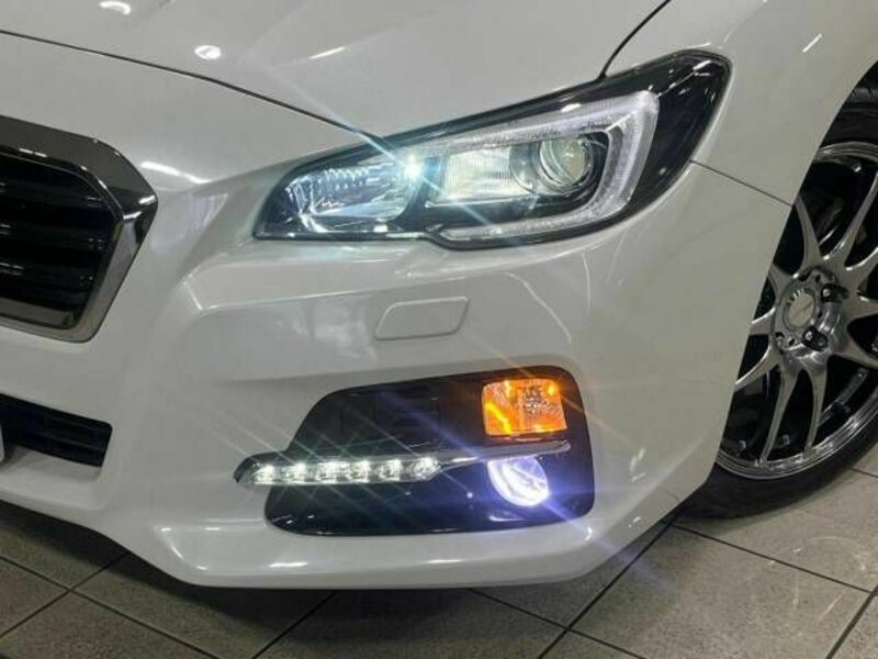 LEVORG-12