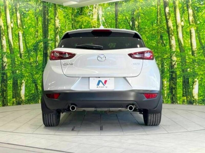 CX-3-15