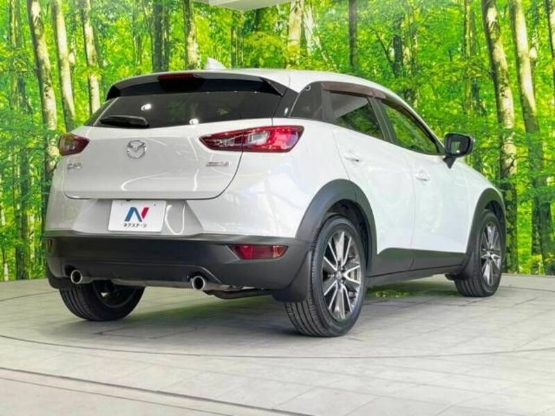 CX-3-17