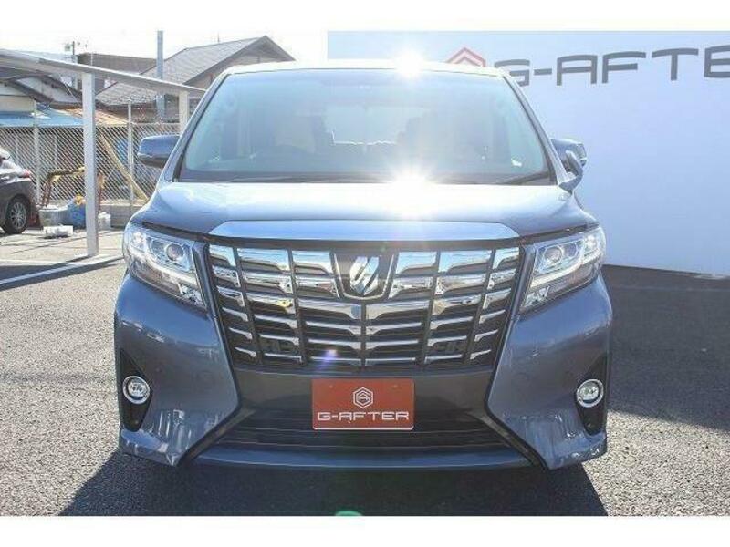 ALPHARD-6